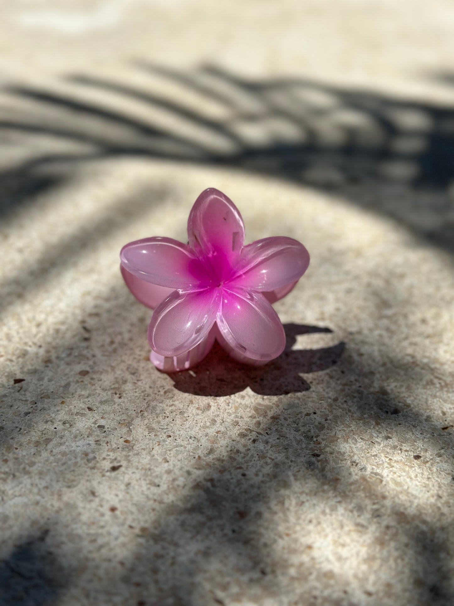 fuschia
